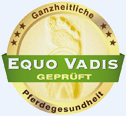 Equo Vadis